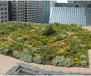 70 Jorgs First Green Roof in the USA