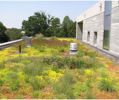 67 Green Roof Technology Swarthmore