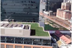 26 Green Roof Pictures