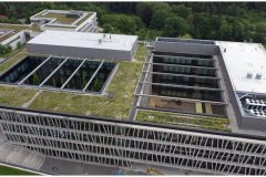 36 Biodiversity Green Roof