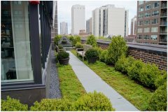 28 Green Roof Pictures