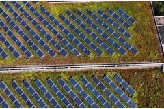 54 Green Roof Pictures