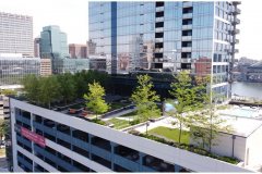 41 Intensive Green Roof