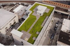 01 Green Roof Pictures