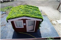 51 Little Green Roof