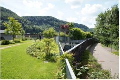 27 Bio Diversity with recreational space over