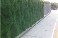38 Free Standing Green Wall