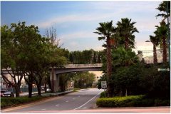17 Bridge in FL 1st Green Bridge in USA