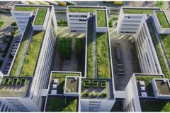 40 Multiuse Green Roof