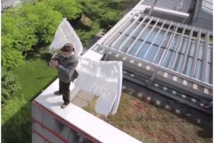 23 Green Roofs and Art