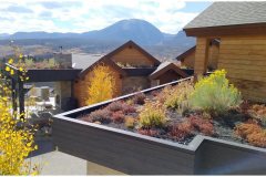 29 Colorado Green Roofs