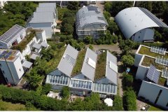 61 Net Zero Living