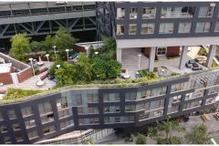 22 Green Roof Solutions, Green Roof Pictures