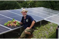 46 Nanny Plants and Solar Garden
