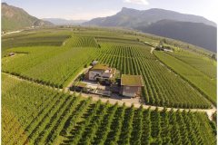 52 Italy Bozen Green Roof