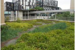 75 Semi Intensive Green Roof