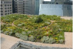 70 Jorgs First Green Roof in the USA