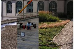 81 Green Roof Pictures