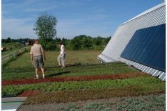 20 Emory Knoll Farm Consulting