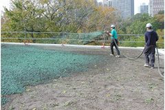 71 Peggy Notebaert Museum Hydroseeding