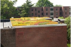 63 Lancaster Green Roofs