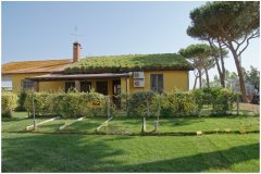 62 Rome Italy Sod Roof