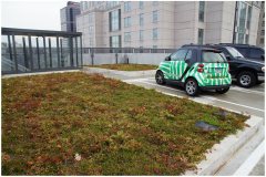 66 Green Roof Pictures