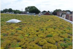 48 GreenRoofTechnology simplified
