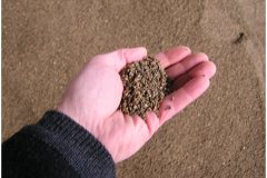 79 Soil Media
