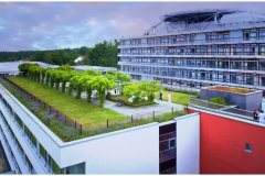 39 Green Roof Pictures on Hospital