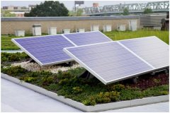 80 Solar Green Roof Pictures