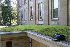 85 Green Roof Pictures