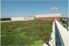 76 Simple Extensive Green Roof