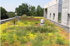 67 Green Roof Technology Swarthmore