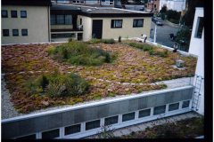 17 getting extensive green roofs