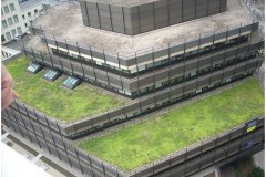 14 Green Roof lasts longer than the building