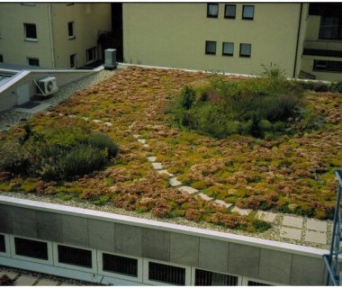 56 GreenRoofTechnology