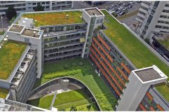 11 Green Roof Solutions