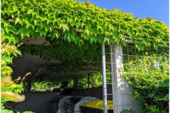 69 Green Roof Solutions