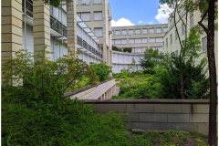50 Green Roof Solutions