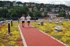 12 Green Roof Solutions