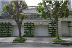 51 Green Wall Solutions