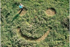 53 Green Roof Technology