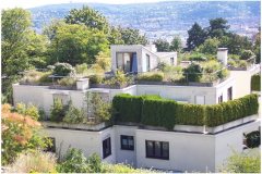 14 Green Roof Technology