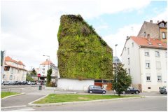 15 GreenRoofTechnology