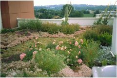 17 GreenRoofTechnology