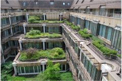 61 GreenRoofTechnology