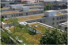 24 GreenRoofTechnology
