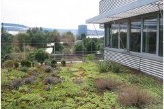 54 Green Roof Technology