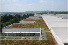 26 GreenRoofTechnology